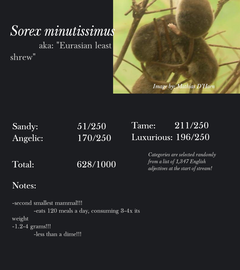 Sorex minutissimus